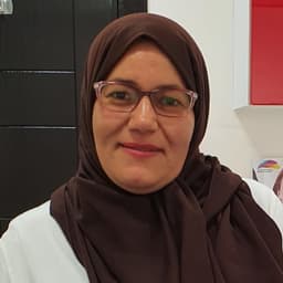 Saida a.